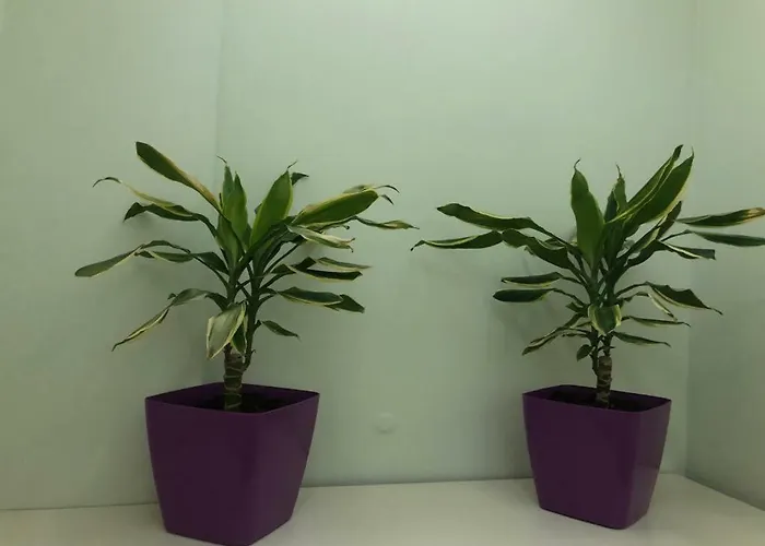 Summer Gate ホテル